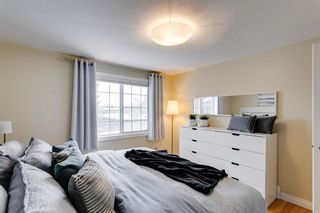 Photo 15: 4669 20th Street SW in Calgary: Garrison Woods Semi Detached (Half Duplex) for sale : MLS®# A2010448
