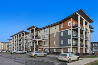 Main Photo: 107 25 WALGROVE Walk SE in Calgary: Walden Apartment for sale : MLS®# A2093126
