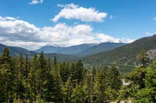Photo 6: 9300 STELLER'S Way in Whistler: WedgeWoods Land for sale in "WedgeWoods" : MLS®# R2707400