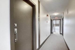 Photo 31: 301 1709 19 Avenue SW in Calgary: Bankview Apartment for sale : MLS®# A1084085