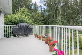 Photo 27: 2371 MARSHALL Avenue in Port Coquitlam: Mary Hill House for sale : MLS®# R2184318