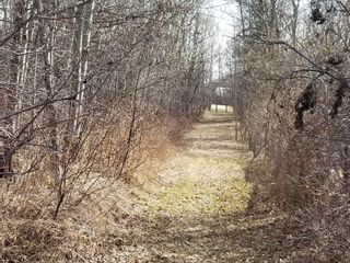 Photo 13: Lakeview Drive: Rural Camrose County Residential Land for sale : MLS®# A2129369