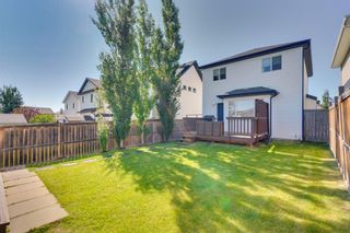 Photo 34: : Airdrie Detached for sale : MLS®# A1240412