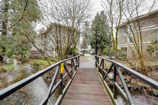 Photo 33: 18 3228 RALEIGH Street in Port Coquitlam: Central Pt Coquitlam Townhouse for sale in "Maple Creek" : MLS®# R2667116