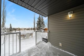 Photo 31: 69 Royal Birch Terrace NW in Calgary: Royal Oak Detached for sale : MLS®# A2025884
