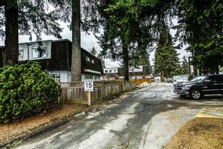 Photo 14: 42 21555 DEWDNEY TRUNK Road in Maple Ridge: West Central Townhouse for sale in "RICHMOND COURT" : MLS®# R2131390