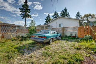 Photo 29: 147 Dovercliffe Way SE in Calgary: Dover Detached for sale : MLS®# A2085637