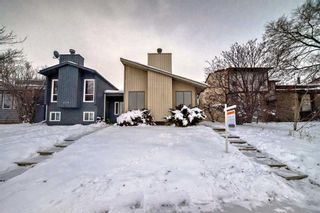 Main Photo: 119 Pinemill Mews NE in Calgary: Pineridge Semi Detached (Half Duplex) for sale : MLS®# A2113091