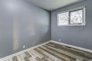 Photo 13: 6419 Temple Drive NE in Calgary: Temple Detached for sale : MLS®# A2000672