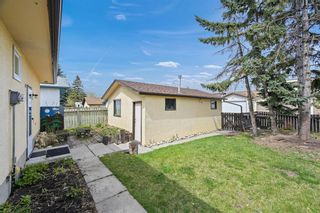 Photo 9: 3035 32A Avenue SE in Calgary: Dover Detached for sale : MLS®# A1211168
