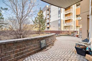 Photo 27: 320 1800 14A Street SW in Calgary: Bankview Apartment for sale : MLS®# A2124871