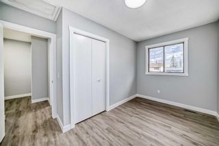 Photo 22: 55 Templemont Drive NE in Calgary: Temple Semi Detached (Half Duplex) for sale : MLS®# A2133385