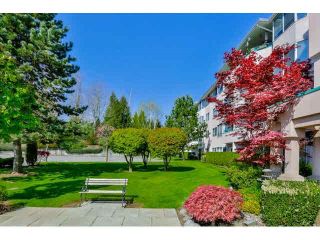 Photo 2: 132 33173 OLD YALE Road in Abbotsford: Central Abbotsford Condo for sale in "Sommerset Ridge" : MLS®# R2063756