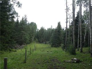 Photo 13: 2 miles west of Dartique Hall in COCHRANE: Rural Rocky View MD Rural Land for sale : MLS®# C3545361