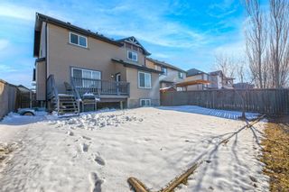 Photo 44: 122 Channelside Cove SW: Airdrie Detached for sale : MLS®# A2010665
