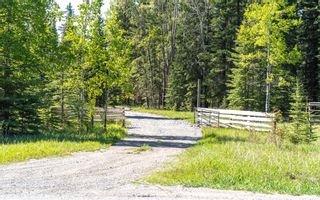 Photo 9: 6337 Township Road 324: Rural Mountain View County Residential Land for sale : MLS®# A1257048