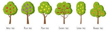How To Grow Fruit Trees