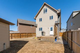 Photo 31: 132 Copperpond Rise SE in Calgary: Copperfield Detached for sale : MLS®# A1082529
