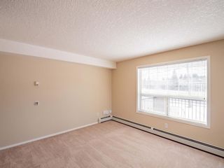 Photo 15: 222 550 Prominence Rise SW in Calgary: Patterson Apartment for sale : MLS®# A2064153