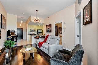Photo 20: 1009 314 Central Park Drive in Ottawa: Central Park House for sale : MLS®# 1266249