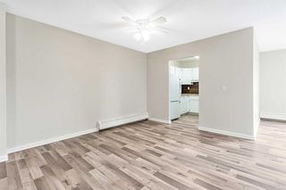 Photo 10: 102 333 Garry Crescent NE in Calgary: Greenview Apartment for sale : MLS®# A2122981
