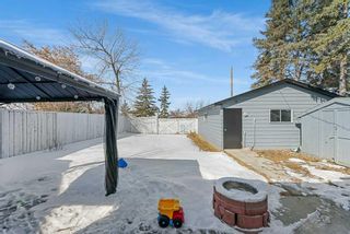 Photo 31: 227 Queensland Circle SE in Calgary: Queensland Detached for sale : MLS®# A2112688