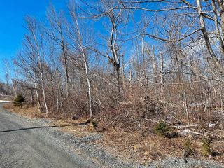 Photo 17: 50 Northumberland Lane in Georgeville: 302-Antigonish County Vacant Land for sale (Highland Region)  : MLS®# 202304562
