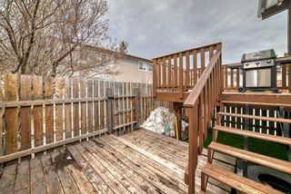 Photo 26: 223 Pinemont Road NE in Calgary: Pineridge Semi Detached (Half Duplex) for sale : MLS®# A2120307
