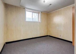 Photo 18: 3015 32A Avenue SE in Calgary: Dover Detached for sale : MLS®# A2115497