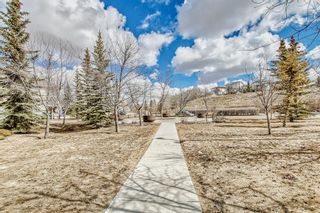 Photo 23: 208 1000 Citadel Meadow Point NW in Calgary: Citadel Apartment for sale : MLS®# A2050408