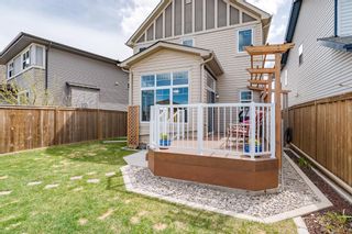Photo 43: 247 Walden Mews SE in Calgary: Walden Detached for sale : MLS®# A1218851