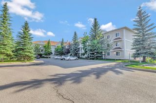 Photo 25: 1307 11 CHAPARRAL RIDGE Drive SE in Calgary: Chaparral Apartment for sale : MLS®# A1014414