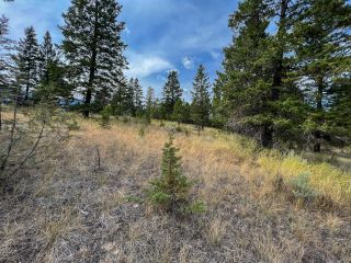 Photo 7: Lot 11 BELLA VISTA BOULEVARD in Fairmont Hot Springs: Vacant Land for sale : MLS®# 2466823