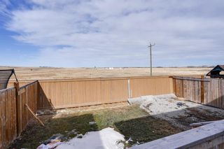 Photo 45: 202 Reunion Green NW: Airdrie Detached for sale : MLS®# A1200915