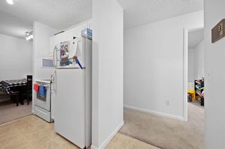 Photo 7: 312 1919 36 Street SW in Calgary: Killarney/Glengarry Apartment for sale : MLS®# A2072642