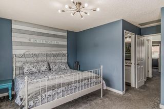 Photo 17: 104 Cranberry Lane SE in Calgary: Cranston Detached for sale : MLS®# A2051933