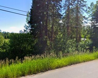 Photo 3: 1942 W SALES Road in Quesnel: Red Bluff/Dragon Lake Land for sale : MLS®# R2824482