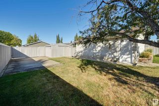 Photo 43: 9540 167 Street NW in Edmonton: Zone 22 House for sale : MLS®# E4314462