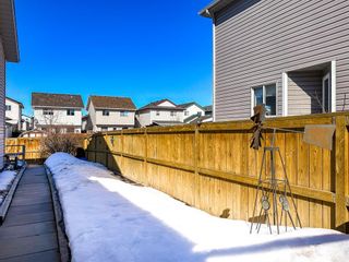 Photo 21: 5126 Erin Place SE in Calgary: Erin Woods Detached for sale : MLS®# A2034713