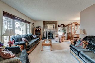 Photo 5: 87 Mardale Crescent NE in Calgary: Marlborough Detached for sale : MLS®# A1214099