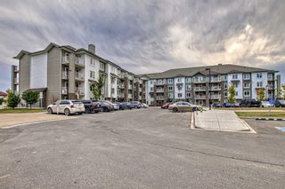 Photo 29: 1405 6118 80 Avenue NE in Calgary: Saddle Ridge Apartment for sale : MLS®# A2081706