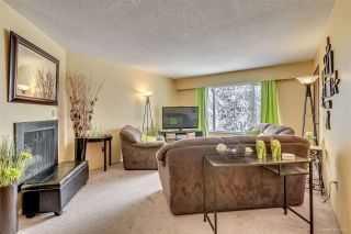 Photo 14: 447-449 MUNDY Street in Coquitlam: Central Coquitlam Duplex for sale : MLS®# R2147177