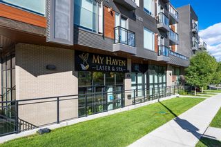 Photo 5: 85 85 34 Avenue SW in Calgary: Parkhill Apartment for sale : MLS®# A1254590