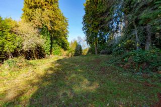 Photo 4: 2539 ROSEBERY Avenue in West Vancouver: Queens Land for sale : MLS®# R2689274