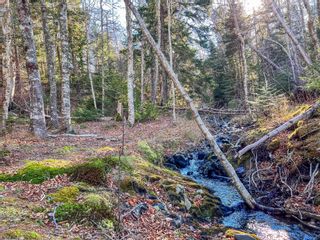 Photo 5: Lot 3 Old Baxter Mill Road in Baxters Harbour: Kings County Vacant Land for sale (Annapolis Valley)  : MLS®# 202226733