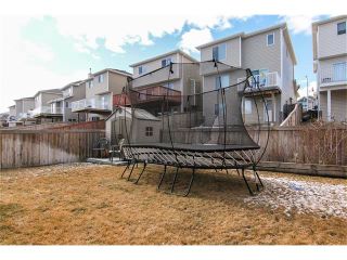 Photo 31: 216 ROYAL ELM Road NW in Calgary: Royal Oak House for sale : MLS®# C4054216