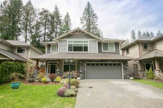 Photo 1: 20 13210 SHOESMITH Crescent in Maple Ridge: Silver Valley House for sale in "ROCK POINT" : MLS®# R2157154
