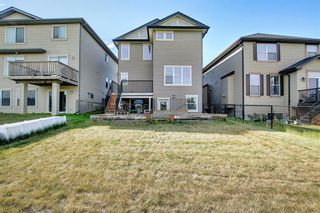 Photo 48: 17 KINCORA GLEN Rise NW in Calgary: Kincora Detached for sale : MLS®# A1122010