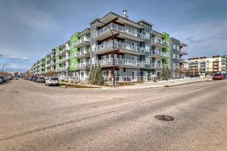 Photo 31: 314 20 Seton Park SE in Calgary: Seton Apartment for sale : MLS®# A2121601