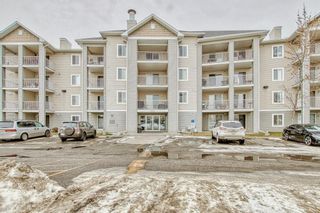 Main Photo: 3307 1620 70 Street SE in Calgary: Applewood Park Apartment for sale : MLS®# A2012657